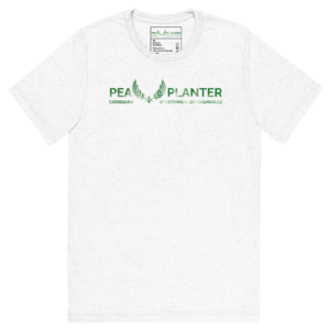 Women's Green Madras Tee