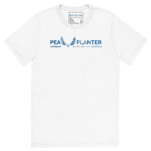 Men's Blue Madras T-Shirt