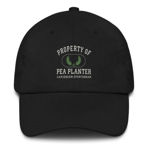 PoP Dad Hat