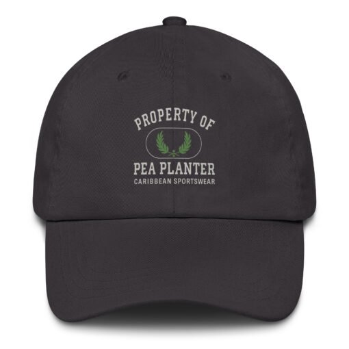 PoP Dad Hat - Image 14